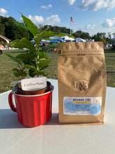 Load image into Gallery viewer, Morning Cure