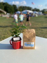 Load image into Gallery viewer, Morning Cure