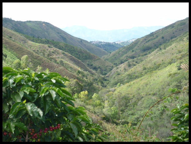 Buesaco City